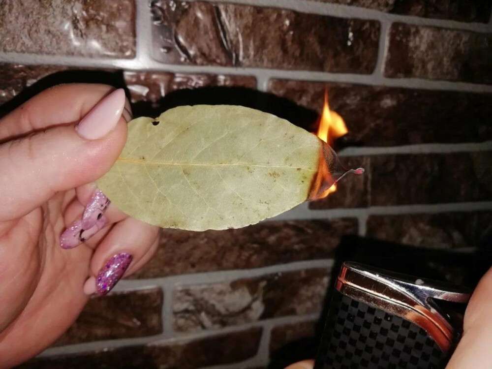 🔥 Prečo si zapáliť bobkový list: Prírodný Aróma Rituál