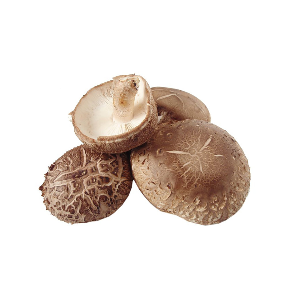 Šošovica (shitake). 50 g
